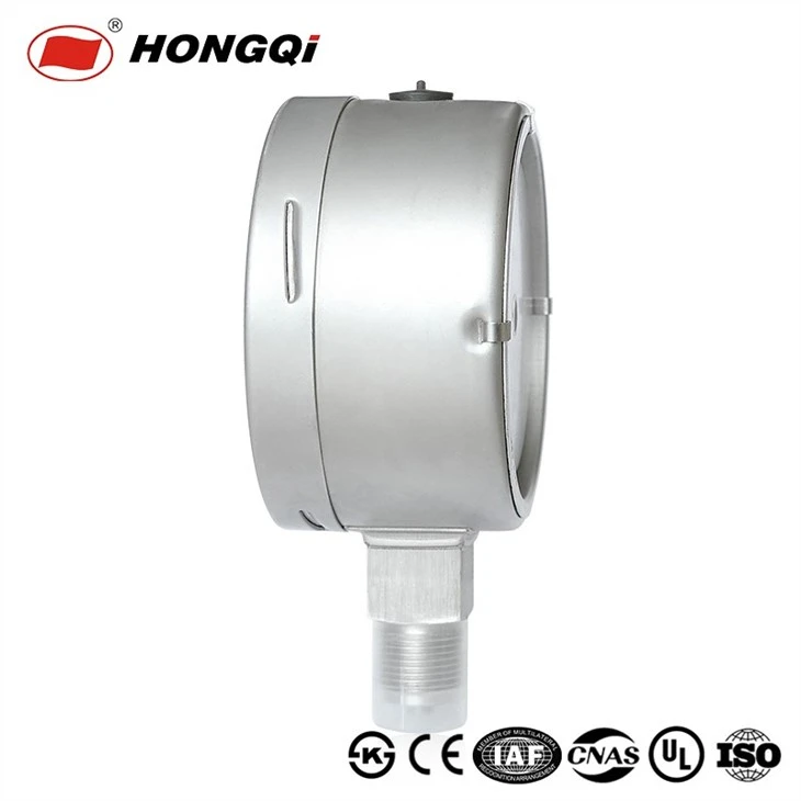 Hongqi 100mm Anti-Corrosive Stain Steel Case Pressure Gauge Thread M20*1.5/G1/2