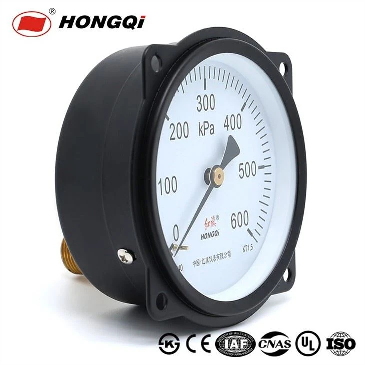 Pressure Gauges Axial Edge Connection Type 100mm/4inch